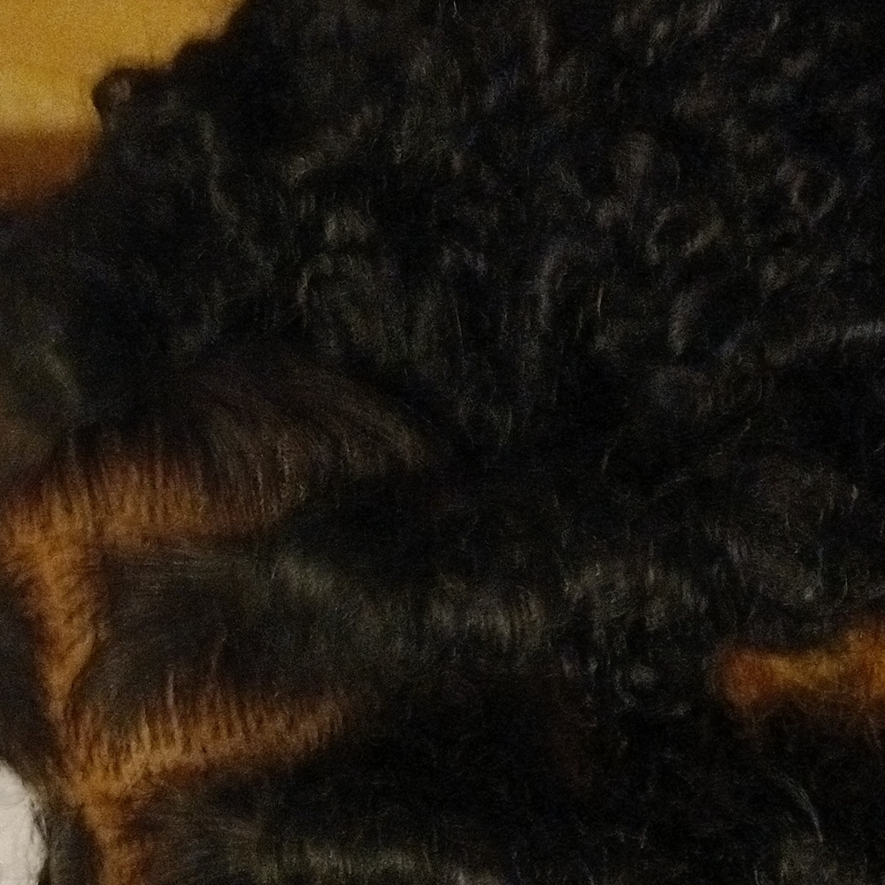 Brand new never worn braided frontal lace wig
